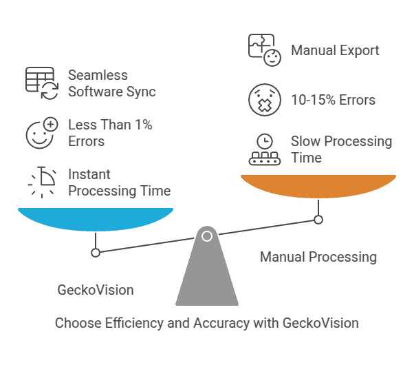 Gecko Vision Diagram